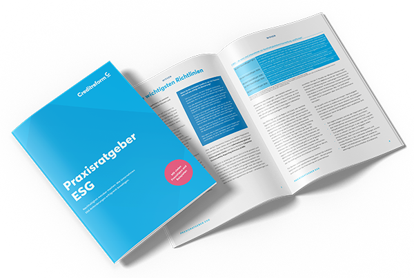 Nachhaltigkeit im B2B